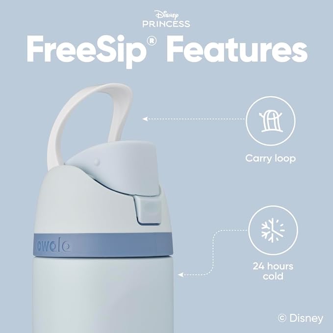 Owala Disney Princess FreeSip Insulated Stainless Steel Water Bottle with Straw for Sports and Travel, BPA-Free Sports Water Bottle, 24 oz, Cinderella Owala