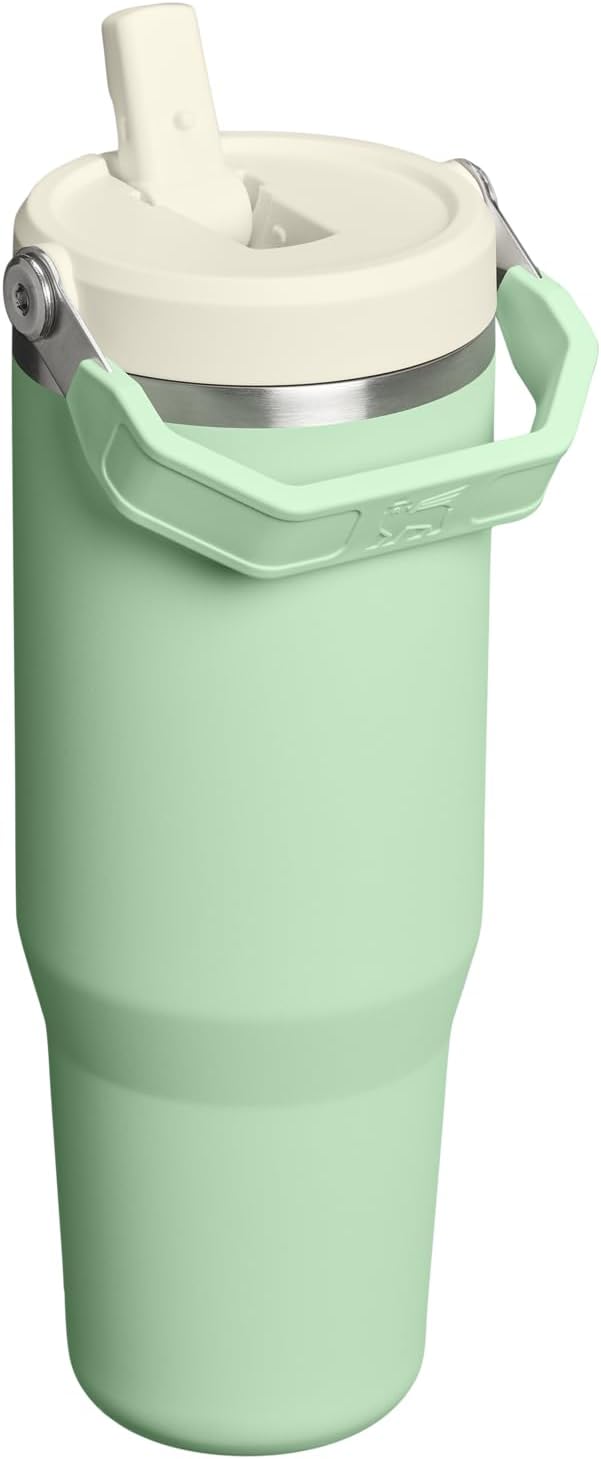 STANLEY IceFlow 2.0 Flip Straw Tumbler with Handle 30 oz | Twist On Lid and Flip Up Straw | Leak Resistant Water Bottle | Insulated Stainless Steel | BPA-Free | Pistachio - Bloomnest