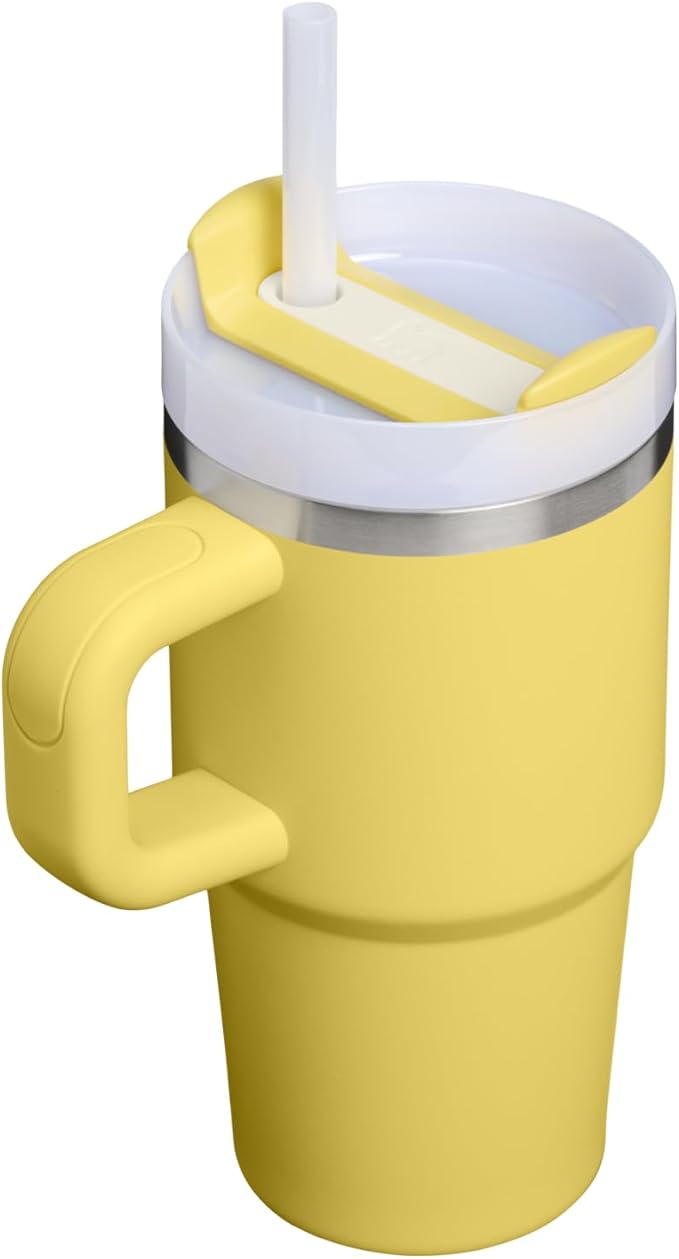 STANLEY Quencher H2.0 Tumbler with Handle and Straw 20 oz | Flowstate 3-Position Lid | Cup Holder Compatible for Travel | Insulated Stainless Steel Cup | BPA-Free | Daffodil Stanley