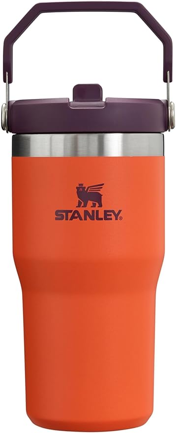 Stanley IceFlow Flip Straw Tumbler with Handle 20 oz | Twist On Lid and Flip Up Straw | Leak Resistant Water Bottle | Insulated Stainless Steel |BPA-Free | Tigerlily Plum - Bloomnest