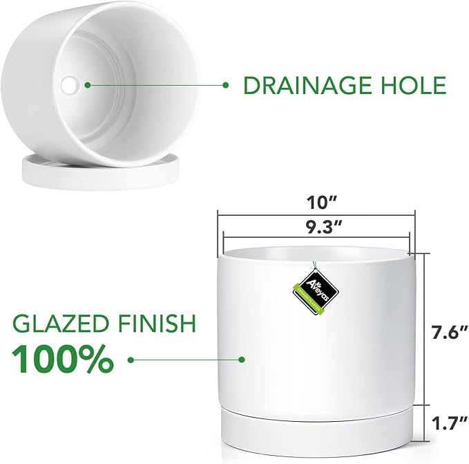 Aveyas 10 inch Ceramic Plant Pot with Drainage Hole and Saucer - Suitable for Indoor and Outdoor Use, Modern Planters for House Garden Flower Tree Snake Monstera Plants (10", Matte White) - Bloomnest