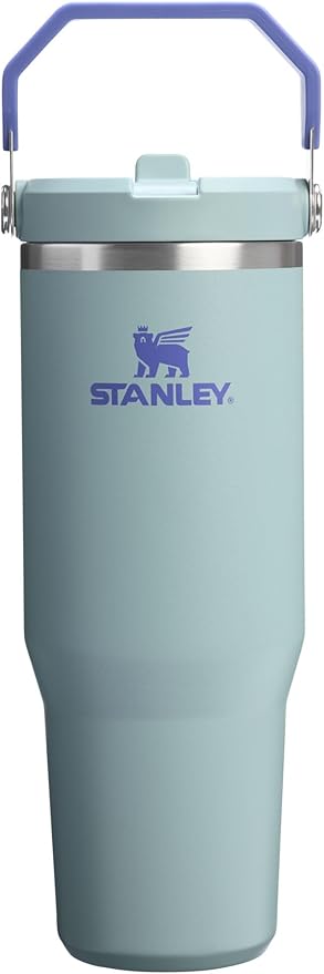 Stanley IceFlow 2.0 Flip Straw Tumbler with Handle 30 oz | Twist On Lid and Flip Up Straw | Leak Resistant Water Bottle | Insulated Stainless Steel | BPA-Free | Exclusive Blue Cactus - Bloomnest