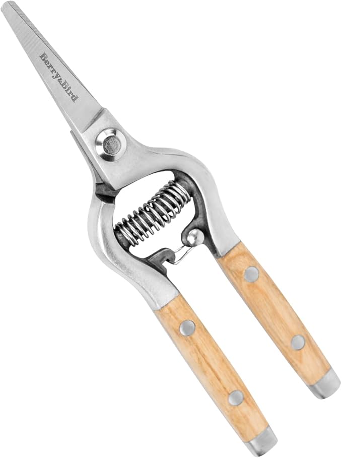 Berry&Bird Straight Pruning Shears with Stainless Steel Blades Garden Hand Pruner 8'' Scissors with Wooden Handle Clippers for Gardening Trimming Cutting Bonsai - Bloomnest