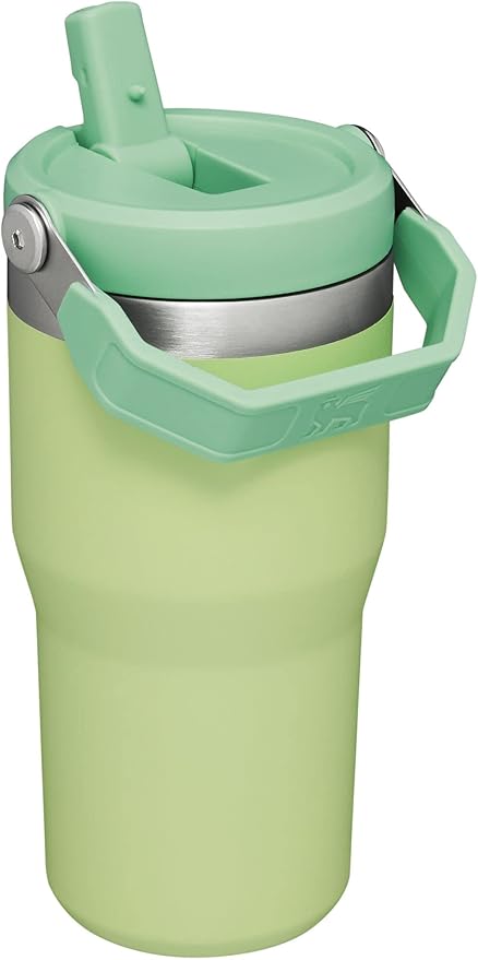 Stanley IceFlow Flip Straw Tumbler with Handle 20 oz | Twist On Lid and Flip Up Straw | Leak Resistant Water Bottle | Insulated Stainless Steel |BPA-Free | Citron - Bloomnest