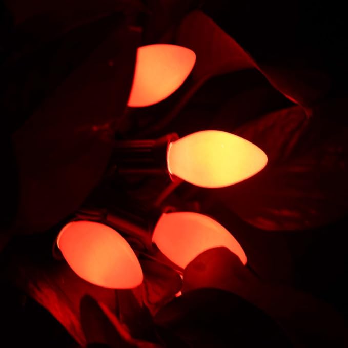 GOOTHY 25 Pack C7 Red Christmas Light Bulbs, C7 Incandescent Christmas Replacement Light Bulbs for Outdoor Indoor String Lights, C7/E12 Candelabra Base Candles Salt Lamp Bulb, 5 Watt Night Light Bulbs - Bloomnest