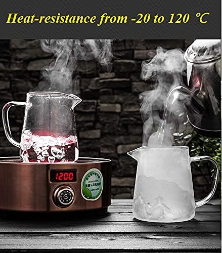 Mini Size Glass Teapot Tea Kettle-with Stainless Steel Removable Infuser for Blooming Tea & Loose Leaf Tea, Microwave & Stovetop Safe, 550ML/19.3oz (S-550) - Bloomnest