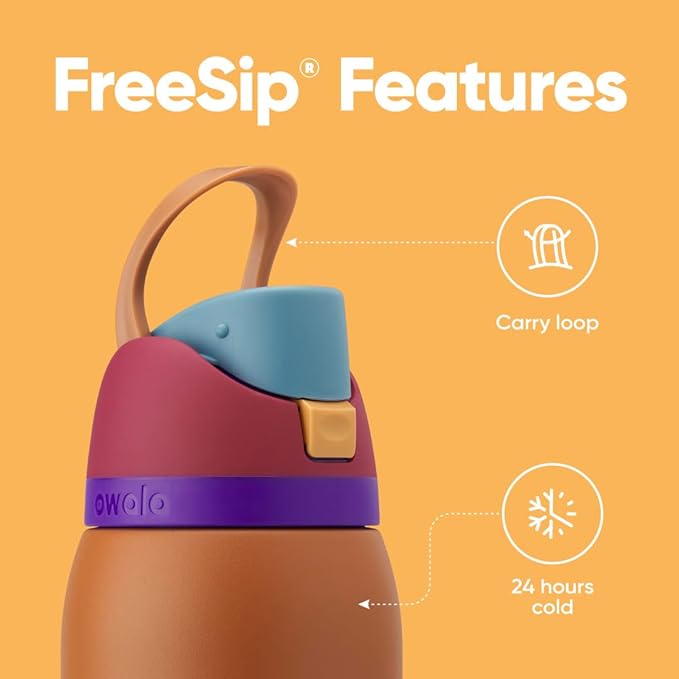 Owala FreeSip Insulated Stainless Steel Water Bottle with Straw for Sports and Travel, BPA-Free Sports Water Bottle, 24 oz, Grey/Grey, Due North Owala
