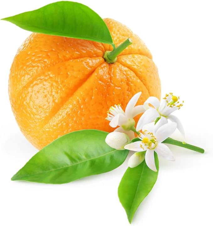 VINEVIDA [32 Fl Oz] Scent NO. 1204 Fragrance Oil for Cold Air Diffusers, Aromatic Notes of Bergamot, Citrus & White Florals Essential Oils for Diffuser Oil Refill & Air Freshener Room Spray - Bloomnest
