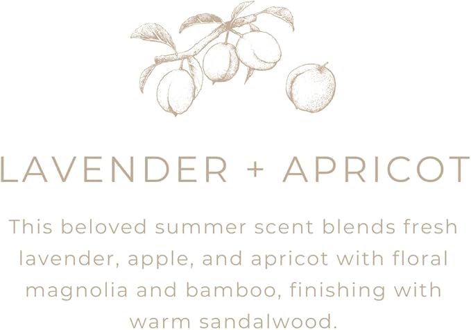 River Birch Candles Lavender + Apricot Scented Candle | Premium, All-Natural, Non-Toxic, Soy Wax | 16oz 90 Hr Burn Time | Cozy Relaxing Gifts for Home - Bloomnest