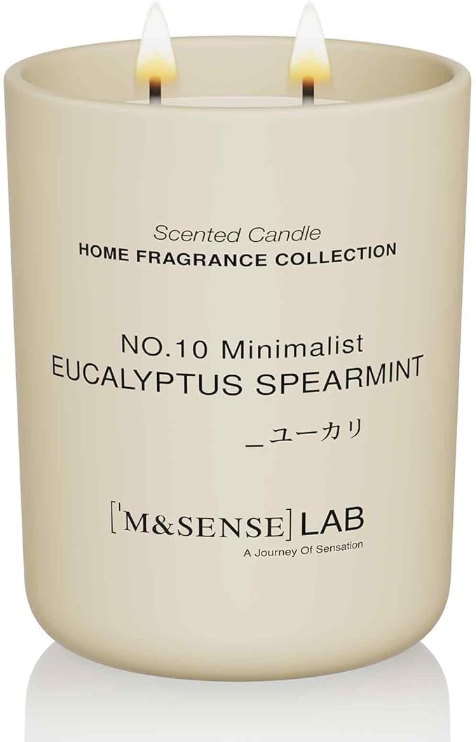 M&SENSE Natural Soy Candle| Eucalyptus Spearmint | 16.6 oz, 95H Burn | Minimalist Scented Candle for Relaxation, Gifting, Home Décor | for Bedroom, Office, Party Large - Bloomnest