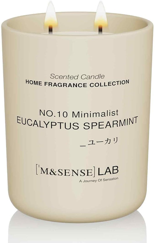 M&SENSE Natural Soy Candle| Eucalyptus Spearmint | 16.6 oz, 95H Burn | Minimalist Scented Candle for Relaxation, Gifting, Home Décor | for Bedroom, Office, Party Large - Bloomnest