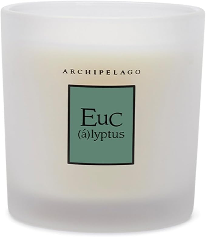 Archipelago Botanicals Hand-Poured Soy Wax Blend Scented Candle with Fragrance Oils, Lead-Free Cotton Wicks, Glass Candle Jar with Gift Box, Burns Approx. 60 Hours, Eucalyptus, 10 Oz. - Bloomnest