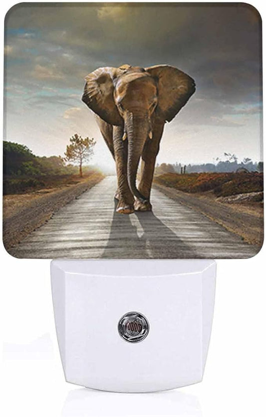 LED Night Light,Single Elephant Walking in Wild Road LED Night Light Plug into Wall with Dusk to Dawn Light Sensor White Energy Efficient Nightlight for Bedroom Hallway Living Room Kitchen - Bloomnest