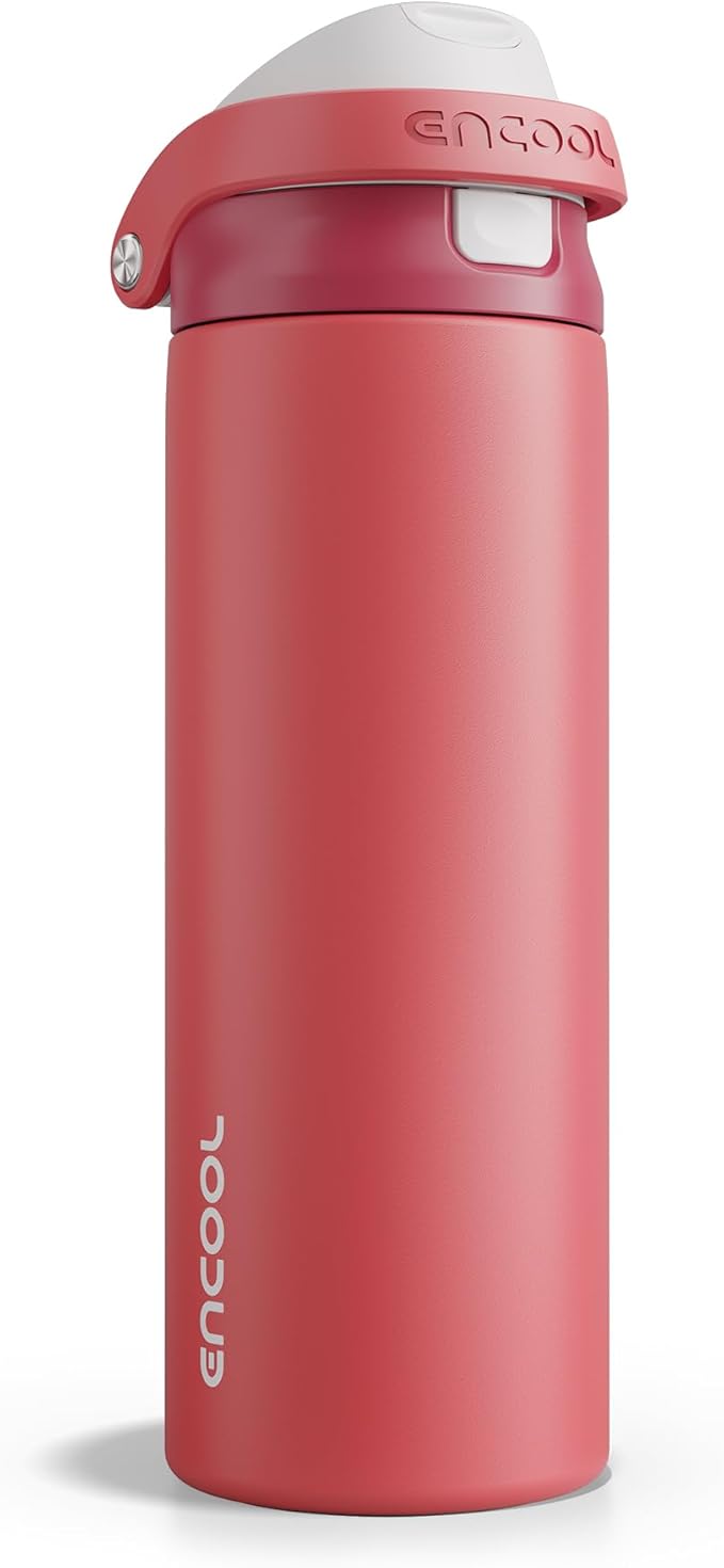 ENCOOL Leakproof Insulated Water Bottle with Straw Dual-Sip Water Bottle Bag-Safe Design for Work, Commute & Gym – Keeps Drinks Cold All Day, 24 oz, Ember Clay ENCOOL