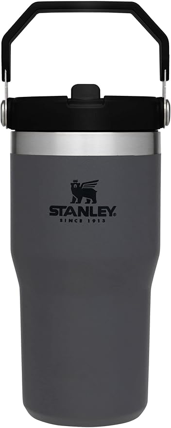 Stanley IceFlow Flip Straw Tumbler with Handle 20 oz | Twist On Lid and Flip Up Straw | Leak Resistant Water Bottle | Insulated Stainless Steel |BPA-Free | Charcoal - Bloomnest