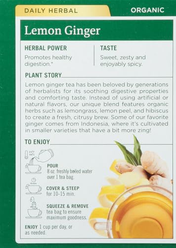 Traditional Medicinals Organic Lemon Ginger Tea, 1.13 Oz, 16 Count (Pack of 2) - Bloomnest