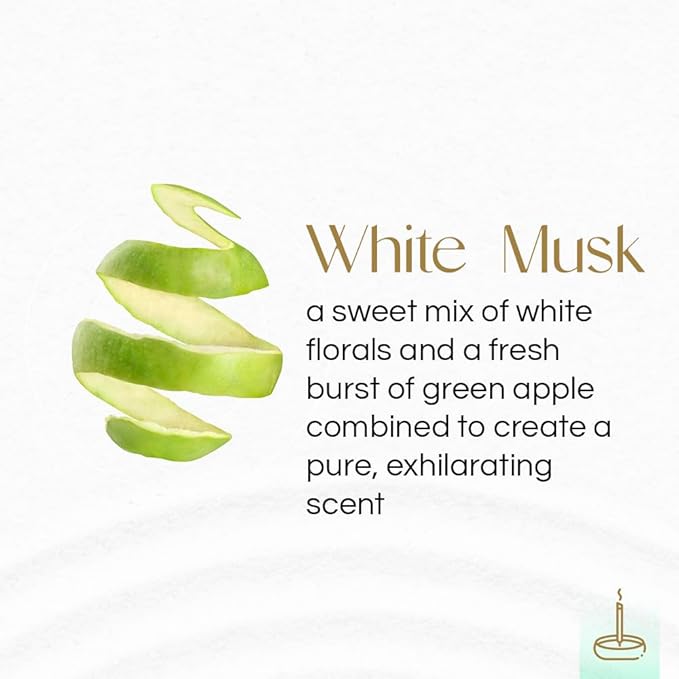 Gonesh - Extra Rich Scented Incense Sticks - Non-Toxic 10” Slow Burn Aromatic Sticks - White Musk - 100 Pack Gonesh