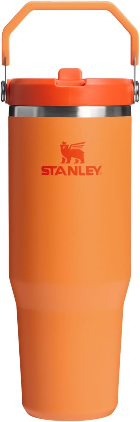 STANLEY IceFlow 2.0 Flip Straw Tumbler with Handle 30 oz | Twist On Lid and Flip Up Straw | Leak Resistant Water Bottle | Insulated Stainless Steel | BPA-Free | Goldenrod Coral - Bloomnest