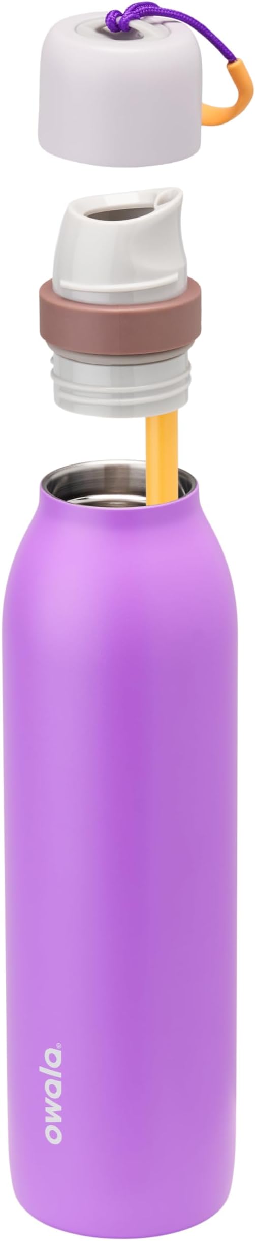 Owala FreeSip Twist Insulated Stainless Steel Water Bottle with Straw for Sports and Travel, BPA-Free, 24-oz, Purple/Purple (California Grapevine) Owala