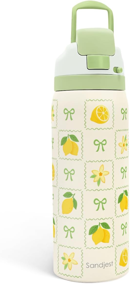 Lemon Stainless Steel Water Bottle, Vacuum Insulated, Push-Button Lid, 32 oz, Gifts for Women Girls Friends Teens Birthday Christmas SANDJEST