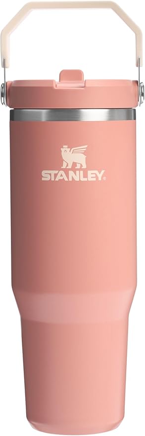 Stanley IceFlow 2.0 Flip Straw Tumbler with Handle 30 oz | Twist On Lid and Flip Up Straw | Leak Resistant Water Bottle | Insulated Stainless Steel | BPA-Free | Exclusive Sienna - Bloomnest