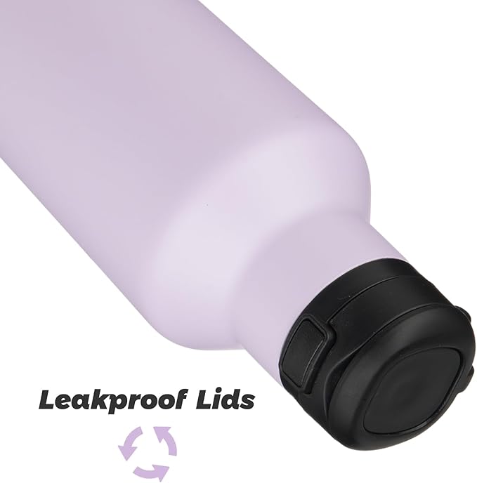 Insulated Water Bottle with Straw,25 OZ Double Wall Vacuum Stainless Steel Water Flask with 2 Lids,Purple - Bloomnest