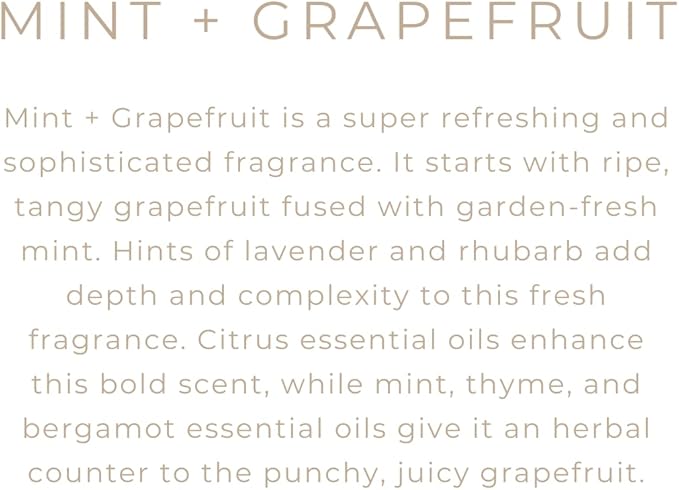River Birch Candles Mint & Grapefruit Scented Candle | Premium, All-Natural, Non-Toxic, Soy Candles | 16oz 90 Hr Burn Time | Cozy Relaxing Gifts for Home - Bloomnest