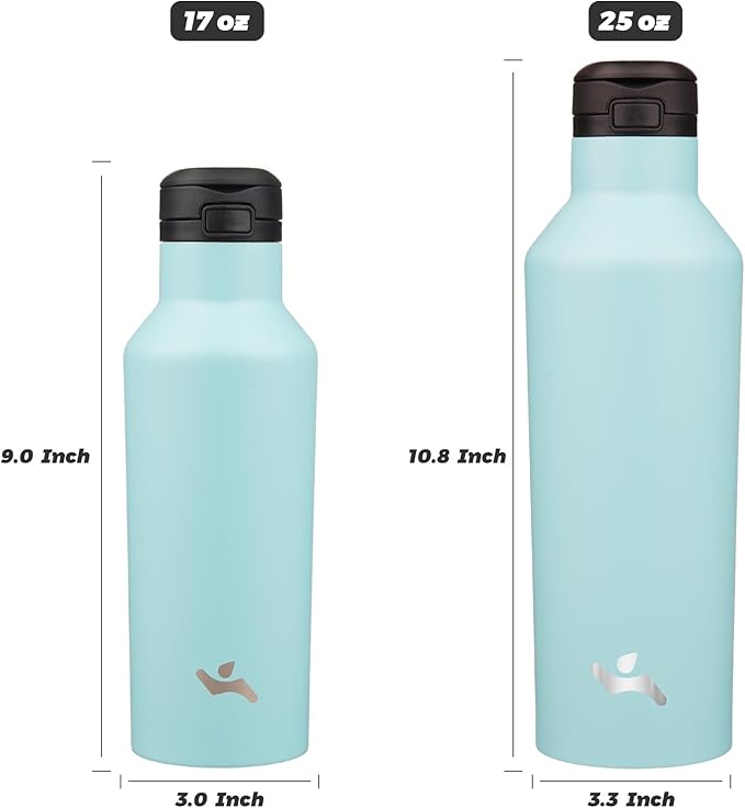 Insulated Water Bottle with Straw,25 OZ Double Wall Vacuum Stainless Steel Water Flask with 2 Lids,Turquoise - Bloomnest