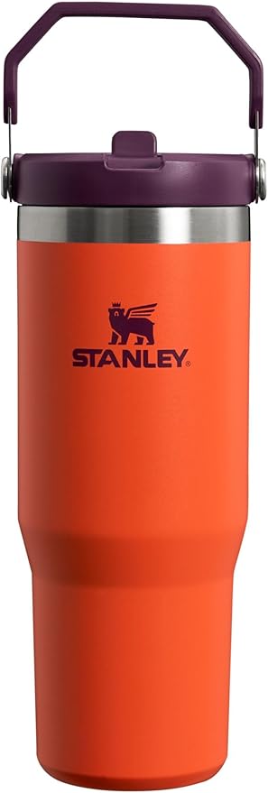 Stanley IceFlow Flip Straw Tumbler with Handle 30 oz | Twist On Lid and Flip Up Straw | Leak Resistant Water Bottle | Insulated Stainless Steel |BPA-Free | Tigerlily Plum - Bloomnest