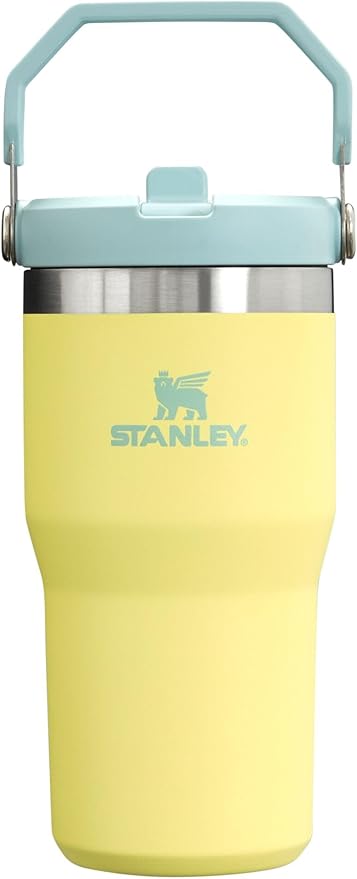 Stanley IceFlow Flip Straw Tumbler with Handle 20 oz | Twist On Lid and Flip Up Straw | Leak Resistant Water Bottle | Insulated Stainless Steel |BPA-Free | Pomelo - Bloomnest