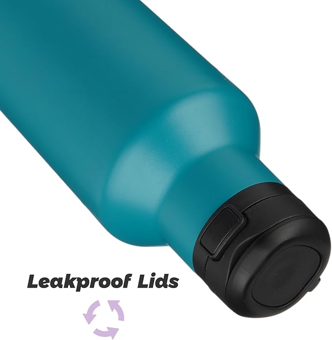 Insulated Water Bottle with Straw,25 OZ Double Wall Vacuum Stainless Steel Water Flask with 2 Lids,Lake Blue - Bloomnest
