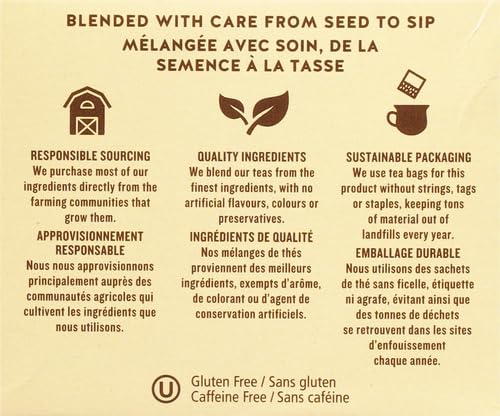 Celestial Seasonings Wild Berry Zinger Herbal Tea, Caffeine Free, 20 Tea Bags Box (Pack of 3) - Bloomnest