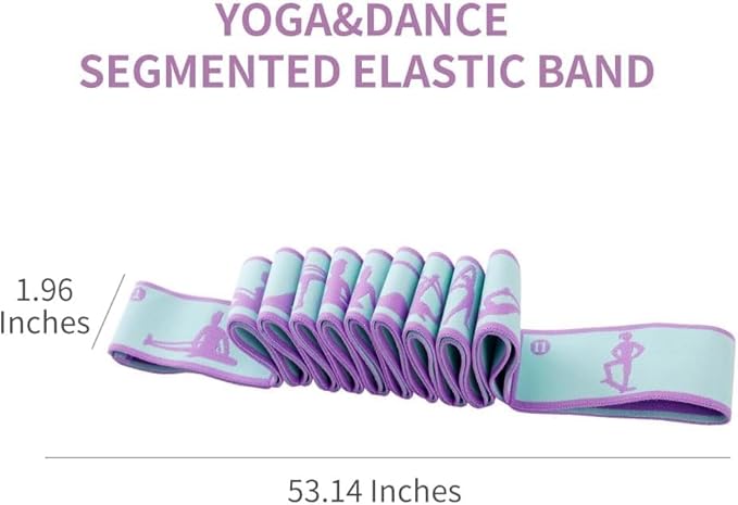 Resistance Bands 11 Loops with Guide Stretch Straps - Exercise Bands for Stretching, Yoga, Pilates & Physical Therapy - Elastic Fabric Workout Bands for Home Gym, Dance, Flexibility Training & Ballet Stretching Equipment - Bloomnest