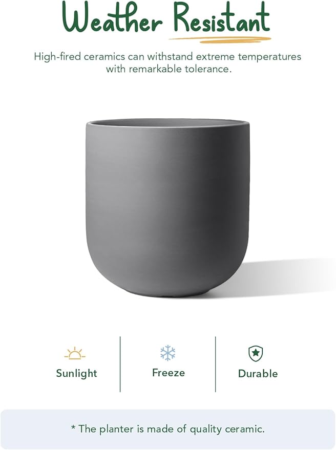 LE TAUCI 10 Inch Plant Pot, Ceramic Pots for Plants with Drainage Hole and Rubber Plug, Plant Pots Indoor for Home Garden Patio Office, Cylinder Planters for Indoor Plants, Charcoal Gray - Bloomnest