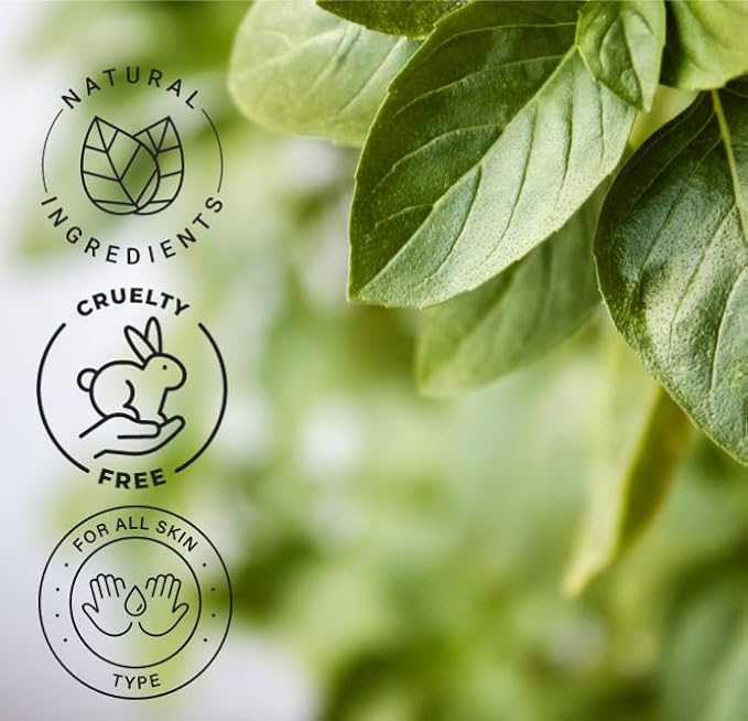 Basil Essential Oil – 16 fl oz (473 ml) Amber Glass Bottle – 100% Pure, Undiluted, Therapeutic Grade – Fresh, Herbaceous Aroma – GreenHealth - Bloomnest