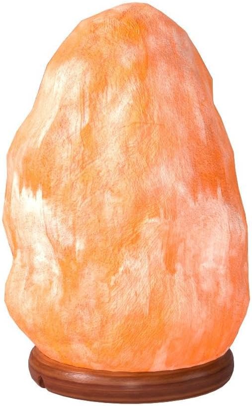 The Body Source Himalayan Salt Lamp | 8-10 in (7-11 lb) | Natural Salt Rock Lamp with Dimmer Switch & Wooden Base | Night Light & Bulb Replacement - Bloomnest