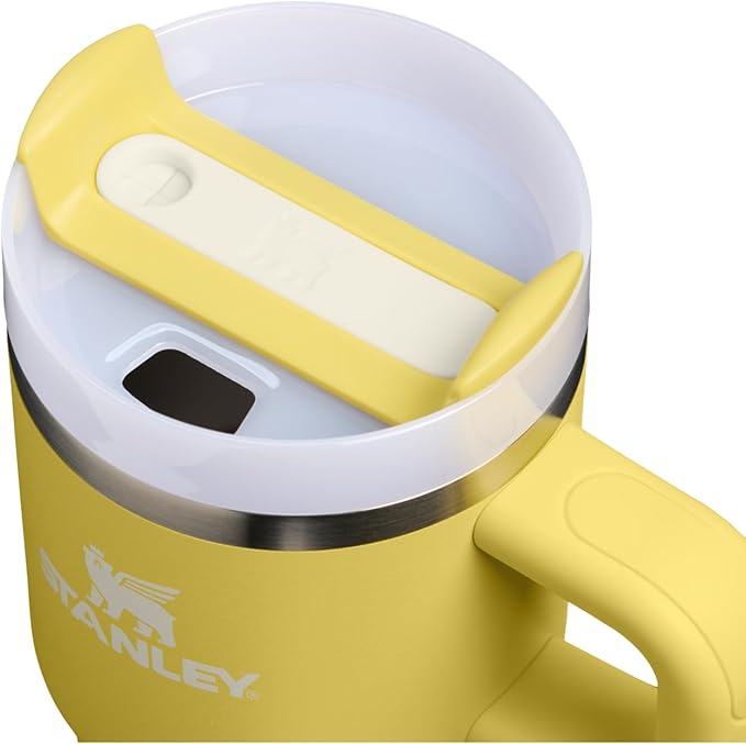 STANLEY Quencher H2.0 Tumbler with Handle and Straw 20 oz | Flowstate 3-Position Lid | Cup Holder Compatible for Travel | Insulated Stainless Steel Cup | BPA-Free | Daffodil Stanley