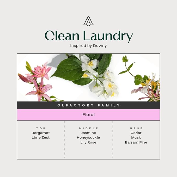 AromaPlan The 3 Bestsellers Clean Collection: Clean House, Clean Laundry and Clean Breeze -Gift Set-Luxury Aroma & Hotel Fragrance Diffuser Oil-USA Made (3 Pack/ 1.7 fl.oz (50 ml) / Bottle - Bloomnest
