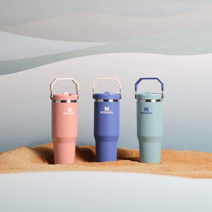 Stanley IceFlow 2.0 Flip Straw Tumbler with Handle 30 oz | Twist On Lid and Flip Up Straw | Leak Resistant Water Bottle | Insulated Stainless Steel | BPA-Free | Exclusive Blue Cactus - Bloomnest