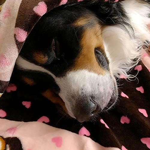 Original Snuggle Puppy Essentials Starter Kit - Heartbeat Puppy for Dogs - Calming Aid with 3 Heat Packs, Puppy Teething Toy, Dog Chew Toy and Dog Blanket - Bloomnest