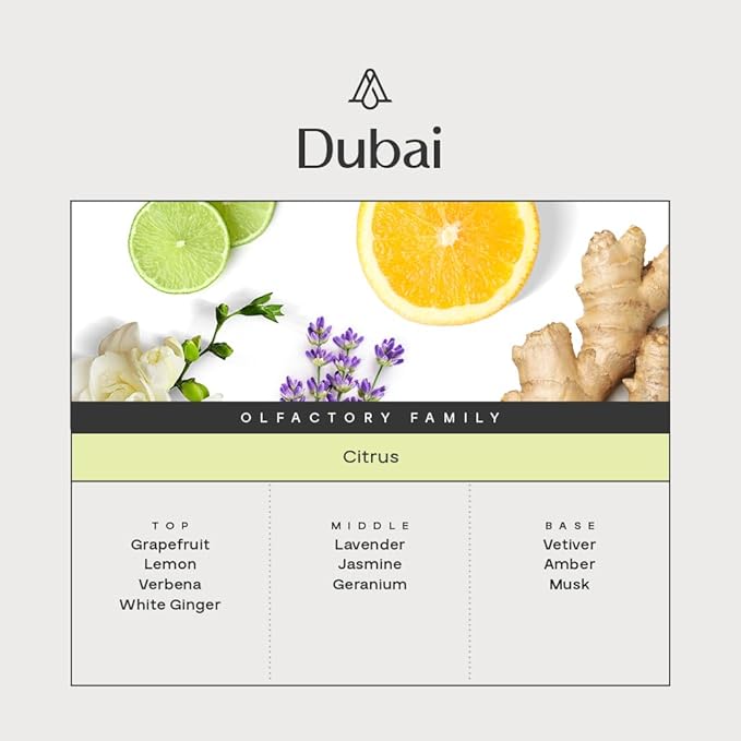 AromaPlan The Bestsellers Set, Dubai, Santal, 24 Knights - Top Picks Set Collection- Gift Set, USA Fragrance- Luxury Aroma & Hotel Fragrance Diffuser Oil- USA Made (3 Pack/ 1.7 fl.oz (50 ml) - Bloomnest