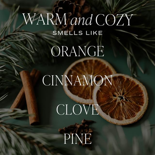 Sweet Water Decor Warm and Cozy Reed Diffuser Set - Orange, Cinnamon, Clove, and Pine Fall and Winter Scented Diffuser - Sandstone Diffusers for Home, Long Lasting Fragrance, Made in The USA - Bloomnest