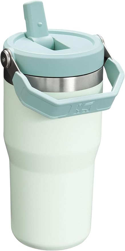 Stanley IceFlow Flip Straw Tumbler with Handle 20 oz | Twist On Lid and Flip Up Straw | Leak Resistant Water Bottle | Insulated Stainless Steel |BPA-Free | Mist - Bloomnest