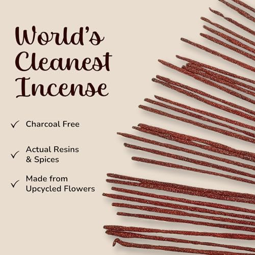 Potent Dragons Blood Incense Sticks - (40+Sticks, 9 inch) Thick Natural Resin Incense, Clean Charcoal Free | Sweet Spicy & Ambery Smelling Protection Incents (Sangre de Grado) (Burn Time 45+ Mins) - Bloomnest