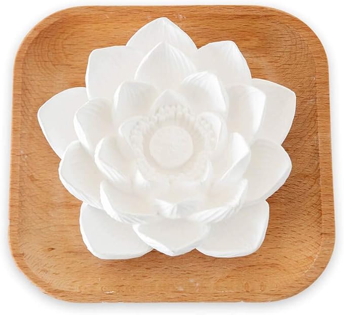 Plant Therapy Passive Lotus Flower Aromatherapy Diffuser - A Chic and Natural Home, Office, and Travel Essential Oil Diffuser - Bloomnest