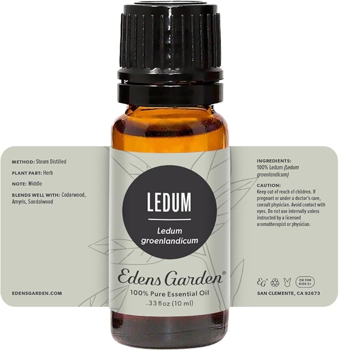 Edens Garden Ledum Essential Oil- 100% Pure Premium Grade, Undiluted, Natural, Therapeutic, Aromatherapy, The Best for Diffuser, Skin, Hair, Humidifiers 10 ml (.33 fl oz) - Bloomnest