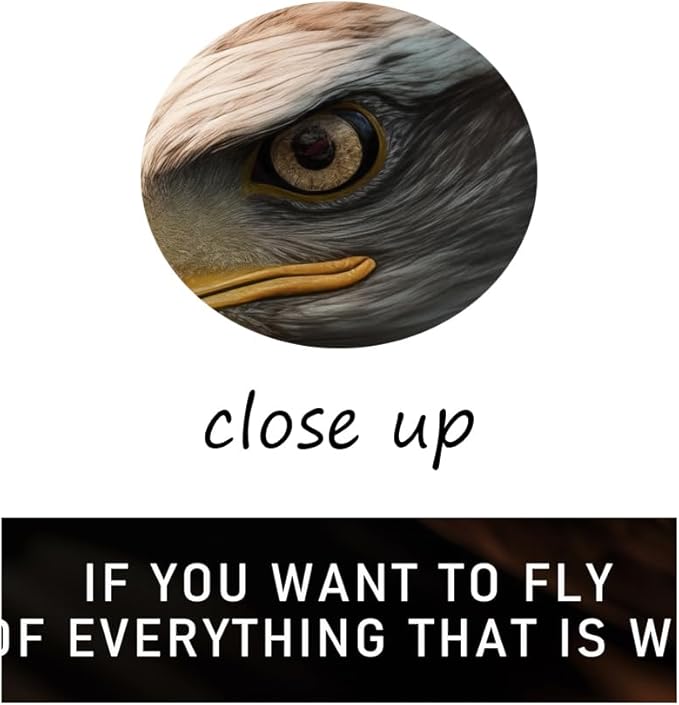 If You Want To Fly Animal Inspirational Canvas Wall Art Motivational Quotes Eagle Posters Picture Prints Modern Home Decor Painting Artwork for Office Stretched and Framed [12''W x 18''H] - Bloomnest