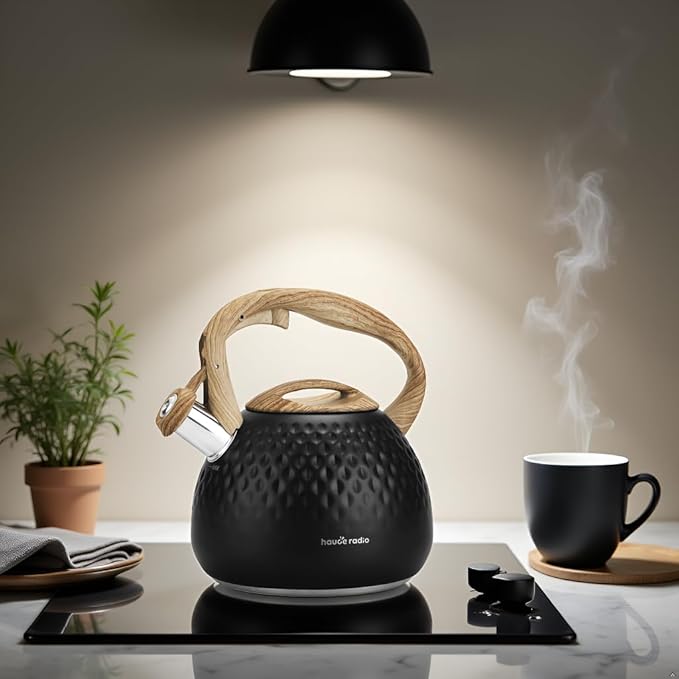 Tea Kettle Stovetop,2.5QT Stainless Steel Whistling Teapot for Stove Top Aesthetic,Portable Water Kettles Camping with Anti-hot Silicone Handle,Suitable for All Heat Sources,Black - Bloomnest