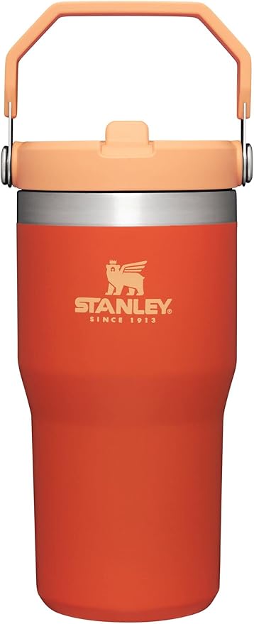 Stanley IceFlow Flip Straw Tumbler with Handle 20 oz | Twist On Lid and Flip Up Straw | Leak Resistant Water Bottle | Insulated Stainless Steel |BPA-Free | Tigerlily - Bloomnest