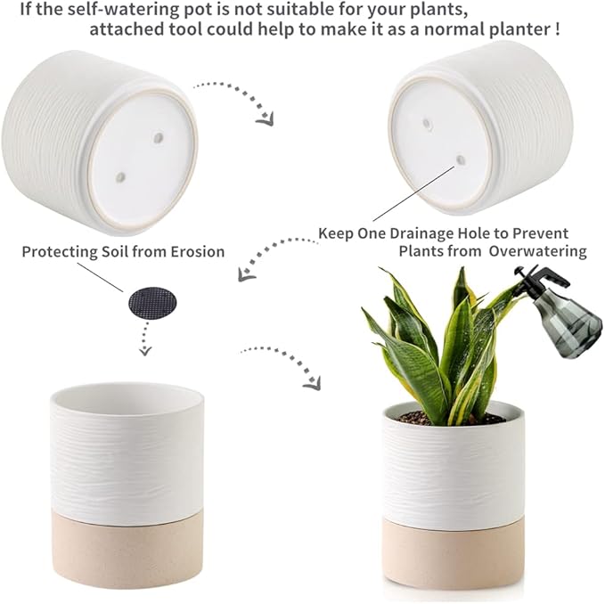 Nihow Self Watering Plant Pot: 6 Inch Ceramic Planter with Drainage Hole & Water Storage Plus for Indoor & Outdoor Plants - Cylinder Round Flower Pot for Succulent/Herbs/Violets - White & Brown - Bloomnest
